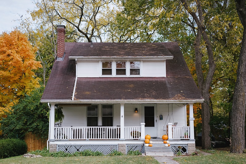 building with mold