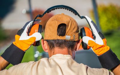 Noise Dosimetry
