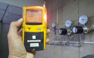 Hydrogen Sulfide (H2S)